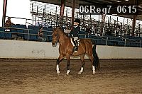 06reg7_0615 thumbnail