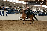 06reg7_0618 thumbnail