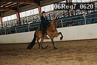06reg7_0620 thumbnail