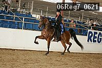 06reg7_0621 thumbnail