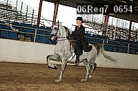 06reg7_0654 thumbnail