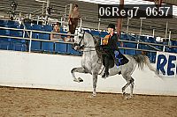 06reg7_0657 thumbnail