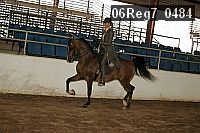 06reg7_0484 thumbnail