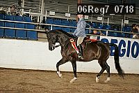 06reg7_0718 thumbnail