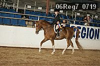06reg7_0719 thumbnail