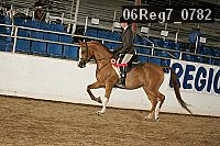 06reg7_0782 thumbnail