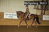 06spring_0663 thumbnail