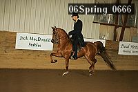 06spring_0666 thumbnail