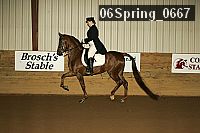 06spring_0667 thumbnail