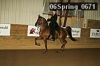 06spring_0671 thumbnail