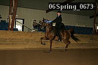 06spring_0673 thumbnail