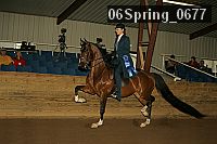 06spring_0677 thumbnail