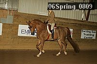 06spring_0809 thumbnail