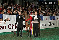 USN06_10517 thumbnail