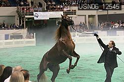 USN06_12545 thumbnail