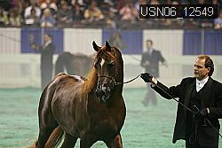 USN06_12549 thumbnail