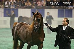 USN06_12550 thumbnail