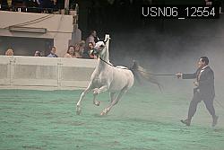 USN06_12554 thumbnail