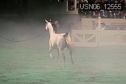 USN06_12555 thumbnail