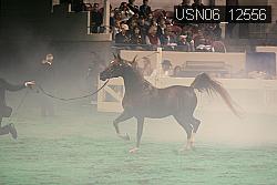 USN06_12556 thumbnail