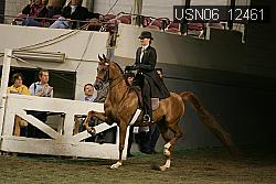 USN06_12461 thumbnail