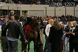 USN06_12979 thumbnail