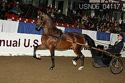 USN06_04117 thumbnail