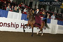 USN06_05850 thumbnail