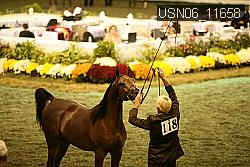 USN06_11658 thumbnail