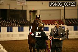 USN06_00722 thumbnail