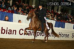 USN06_00964 thumbnail