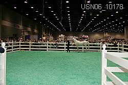USN06_10178 thumbnail