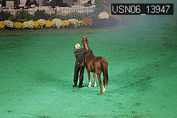 USN06_13947 thumbnail
