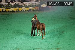 USN06_13949 thumbnail