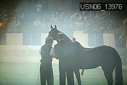 USN06_13976 thumbnail