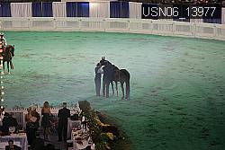 USN06_13977 thumbnail