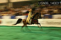 USN06_14003 thumbnail
