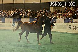 USN06_14006 thumbnail