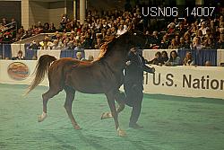 USN06_14007 thumbnail