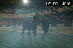 USN06_14016 thumbnail