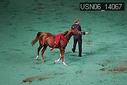 USN06_14067 thumbnail