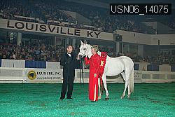 USN06_14075 thumbnail