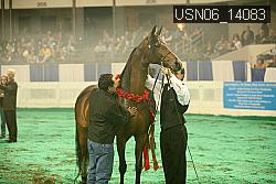 USN06_14083 thumbnail