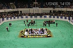 USN06_14109 thumbnail