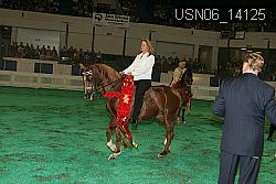 USN06_14125 thumbnail