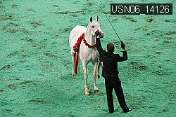USN06_14126 thumbnail