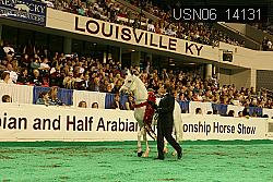 USN06_14131 thumbnail