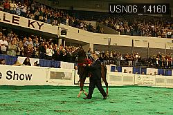USN06_14160 thumbnail