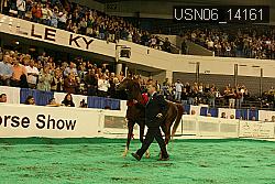 USN06_14161 thumbnail