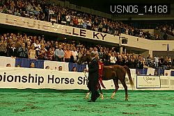 USN06_14168 thumbnail